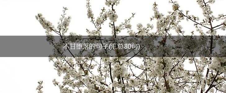 不甘堕落的句子(汇总80句),第1张