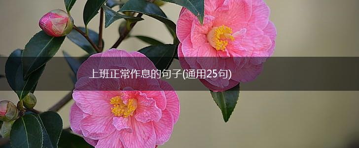上班正常作息的句子(通用25句),第1张