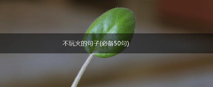 不玩火的句子(必备50句),第1张