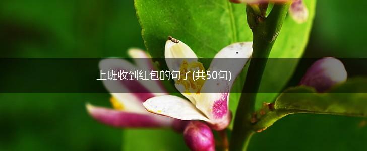 上班收到红包的句子(共50句),第1张
