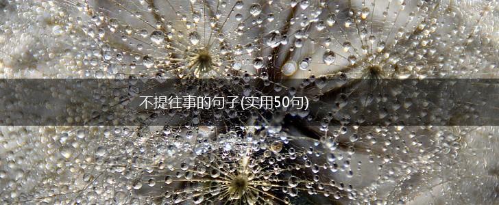 不提往事的句子(实用50句),第1张
