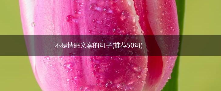 不是情感文案的句子(推荐50句),第1张