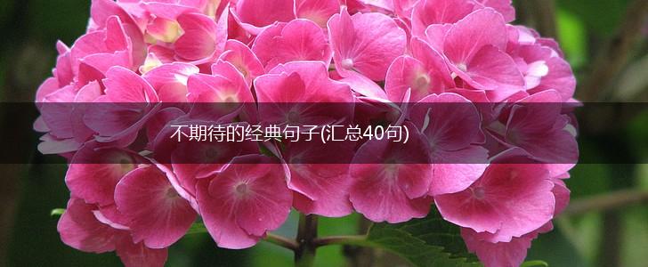 不期待的经典句子(汇总40句),第1张
