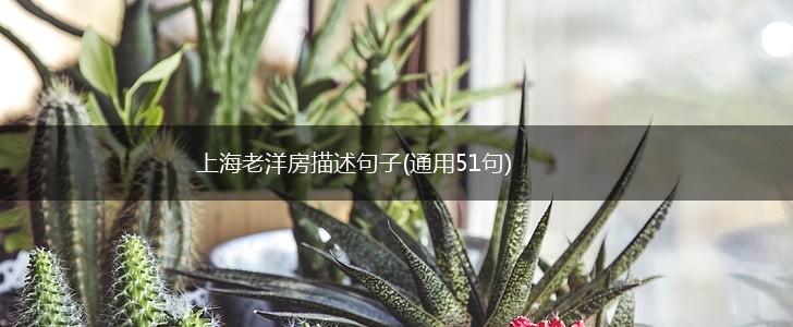 上海老洋房描述句子(通用51句),第1张