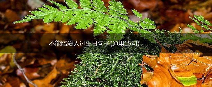 不能陪爱人过生日句子(通用15句),第1张