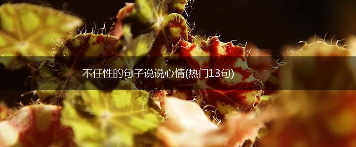 不任性的句子说说心情(热门13句),第1张