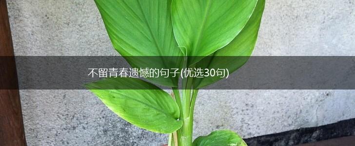 不留青春遗憾的句子(优选30句),第1张