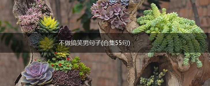 不做搞笑男句子(合集55句),第1张