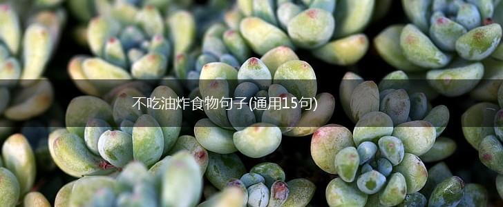 不吃油炸食物句子(通用15句),第1张