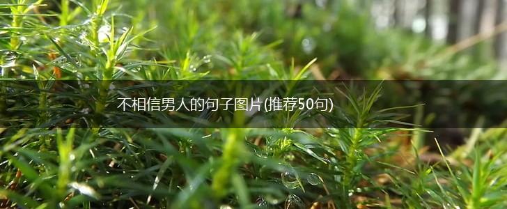不相信男人的句子图片(推荐50句),第1张