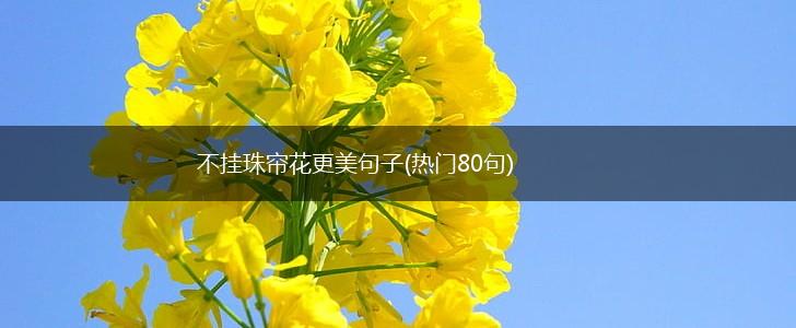 不挂珠帘花更美句子(热门80句),第1张