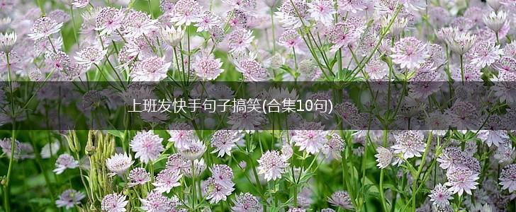 上班发快手句子搞笑(合集10句),第1张
