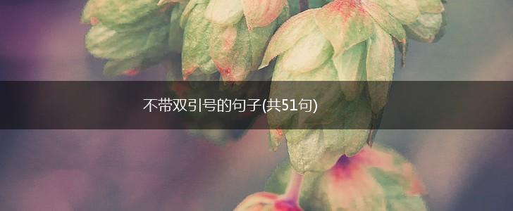 不带双引号的句子(共51句),第1张