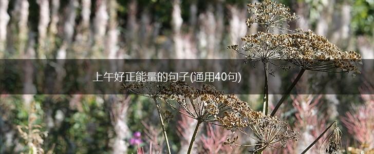 上午好正能量的句子(通用40句),第1张