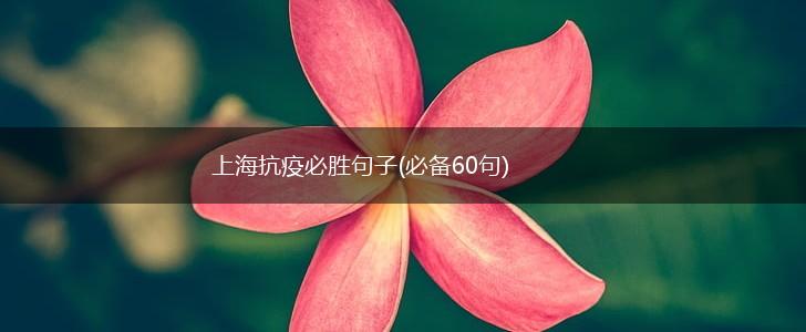 上海抗疫必胜句子(必备60句),第1张