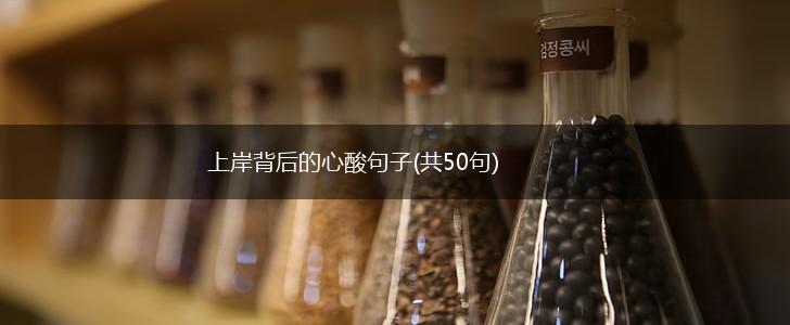 上岸背后的心酸句子(共50句),第1张