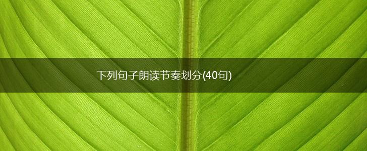 下列句子朗读节奏划分(40句),第1张