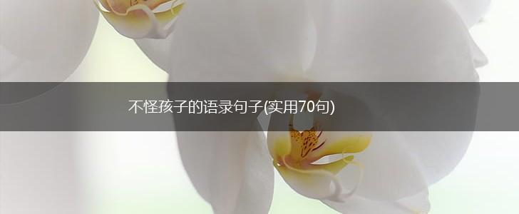 不怪孩子的语录句子(实用70句),第1张