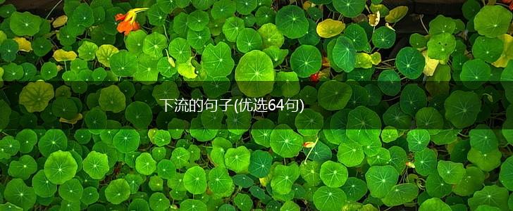 下流的句子(优选64句),第1张