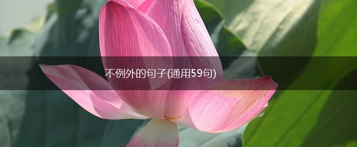 不例外的句子(通用59句),第1张