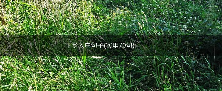 下乡入户句子(实用70句),第1张