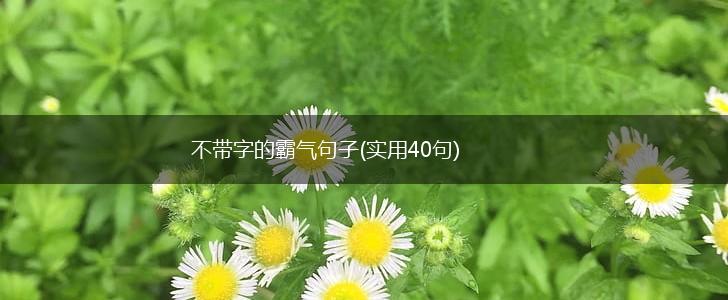不带字的霸气句子(实用40句),第1张