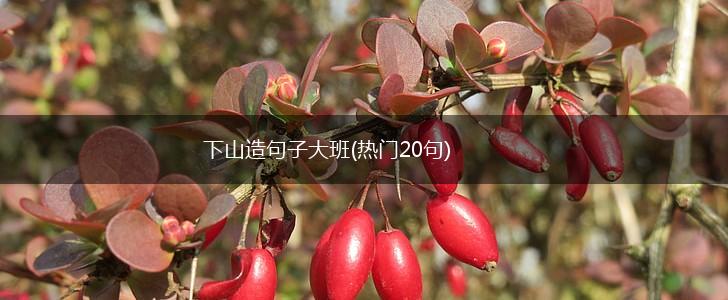 下山造句子大班(热门20句),第1张