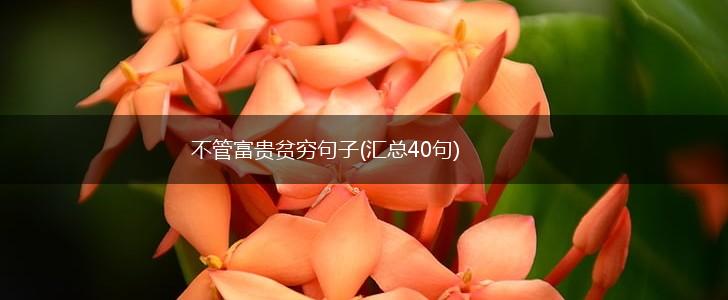 不管富贵贫穷句子(汇总40句),第1张