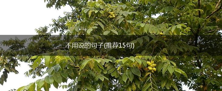不用说的句子(推荐15句),第1张