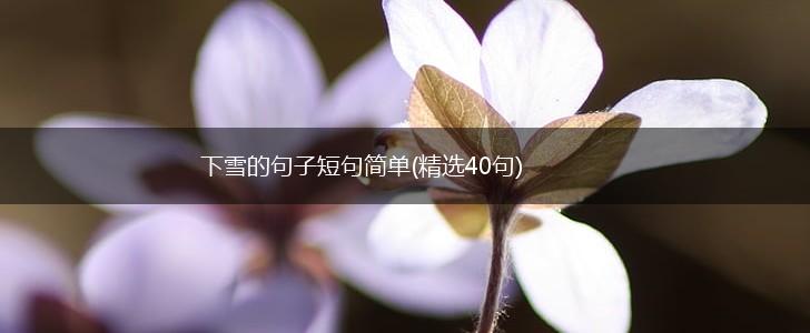 下雪的句子短句简单(精选40句),第1张