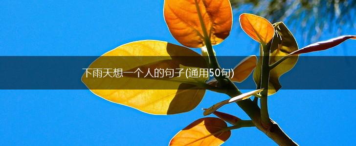 下雨天想一个人的句子(通用50句),第1张