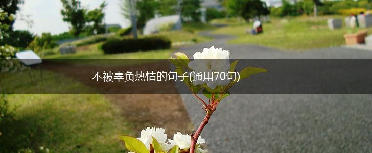 不被辜负热情的句子(通用70句),第1张
