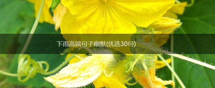 下雨高端句子幽默(优选30句),第1张