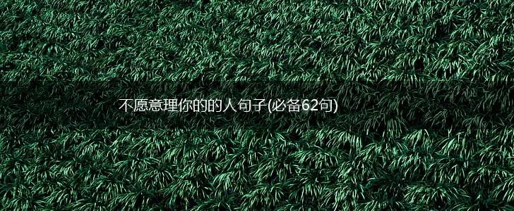 不愿意理你的的人句子(必备62句),第1张