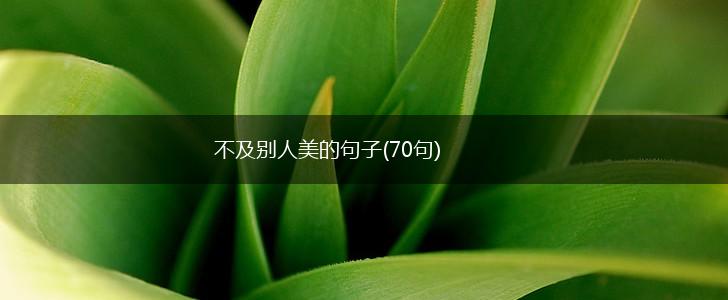 不及别人美的句子(70句),第1张