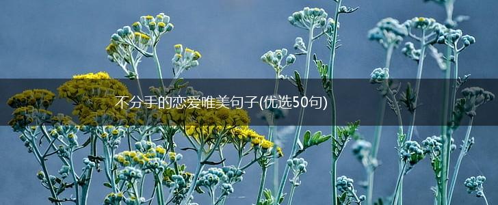 不分手的恋爱唯美句子(优选50句),第1张