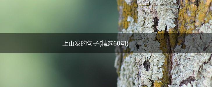 上山发的句子(精选60句),第1张
