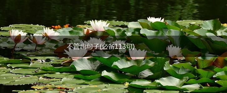 不管也句子(必备113句),第1张