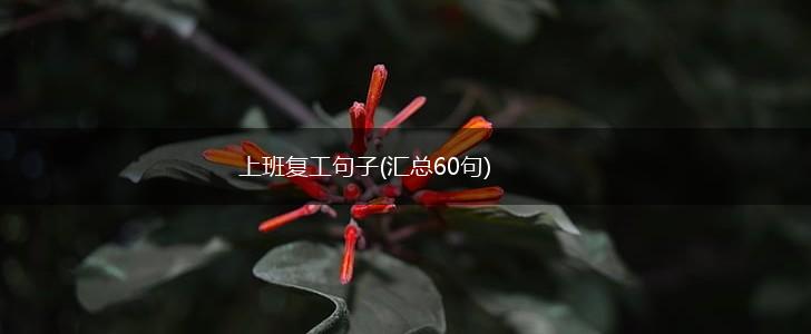 上班复工句子(汇总60句),第1张