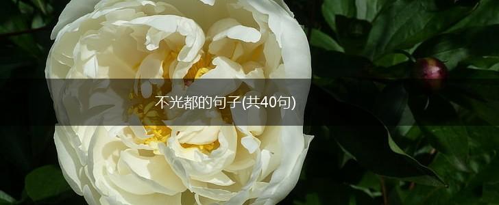 不光都的句子(共40句),第1张