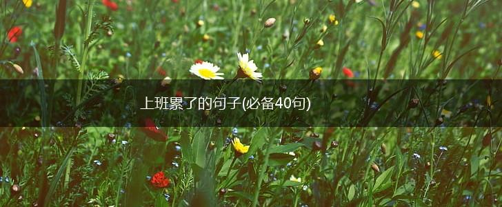 上班累了的句子(必备40句),第1张