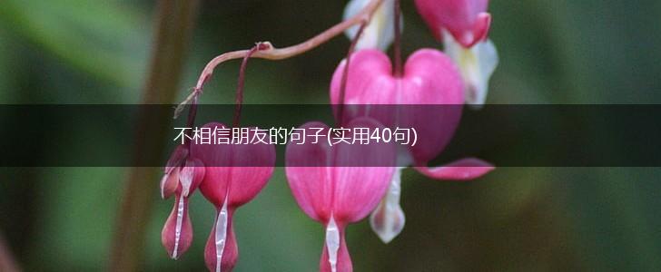 不相信朋友的句子(实用40句),第1张