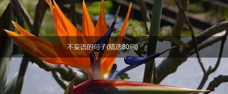 不妄语的句子(精选80句),第1张