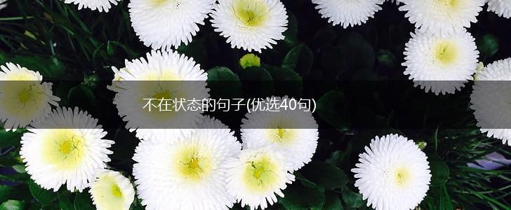 不在状态的句子(优选40句),第1张