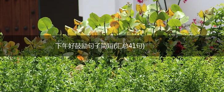 下午好鼓励句子简短(汇总41句),第1张