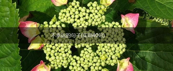 不幸运的句子(实用40句),第1张