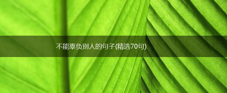 不能辜负别人的句子(精选70句),第1张