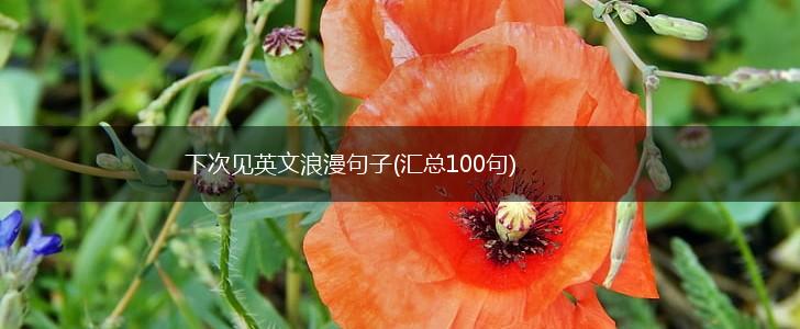 下次见英文浪漫句子(汇总100句),第1张