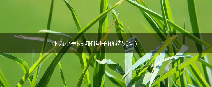 不为小事感动的句子(优选50句),第1张