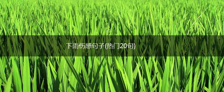 下雨伤感句子(热门20句),第1张